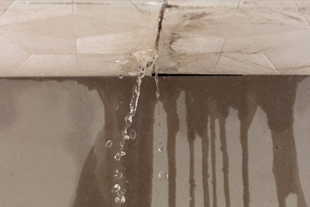 Professional Structural Drying technician working in Milltown, WI